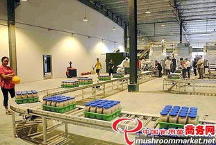 河北光明食品集團臨西縣食用菌工廠化建設項目圓滿竣工，助力現(xiàn)代農(nóng)業(yè)發(fā)展